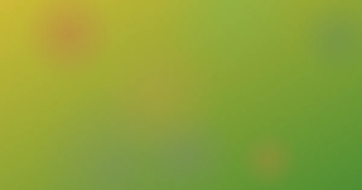 自拍亚洲怎么用？实测讲透